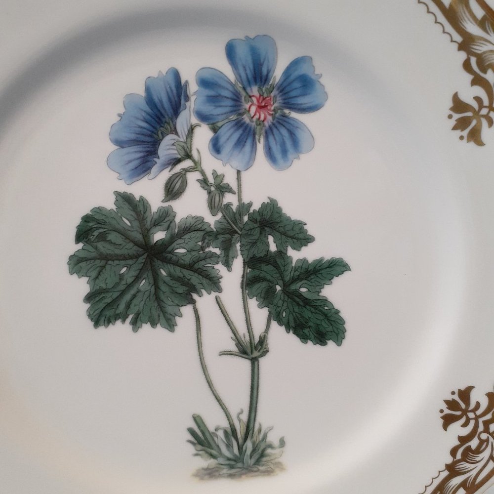 Andrea by Sadek, Golden Botanical by Samuel Curtis  1811 London Plate 10 1/2" - Picture 2 of 9